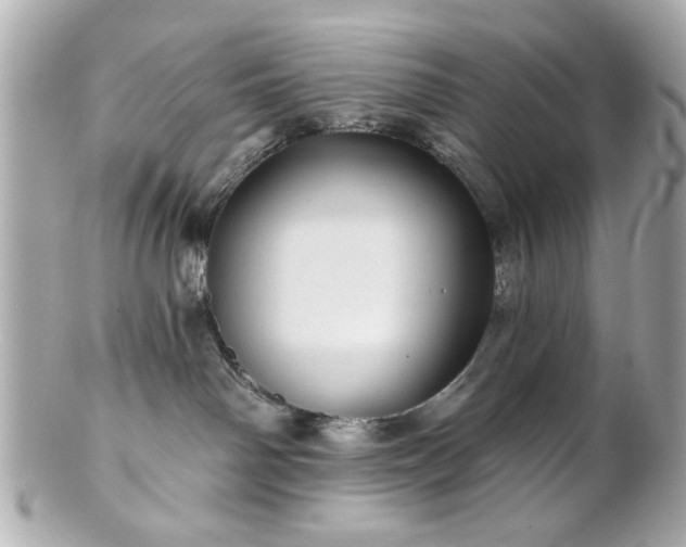 X0000100890142200807011205