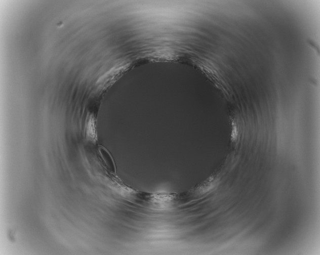 X0000100890143200807011205