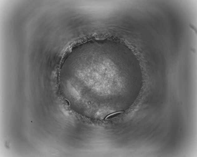 X0000100890144200807011205