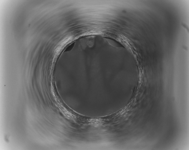 X0000100890145200807011205