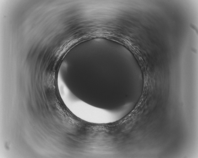 X0000100890146200807011205