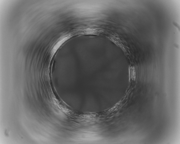 X0000100890147200807011205