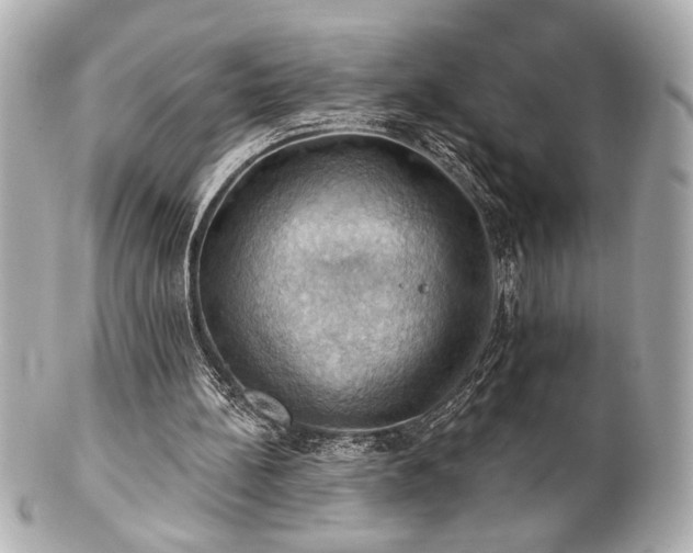 X0000100890148200807011205