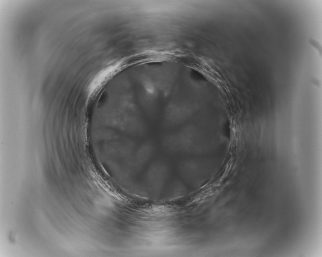 X0000100890149200807011205