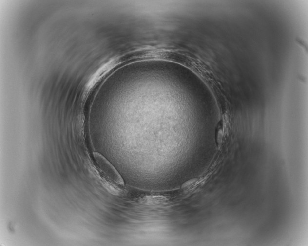 X0000100890150200807011205