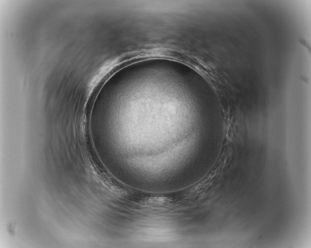 X0000100890152200807011205