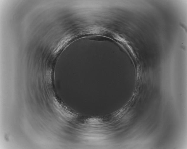 X0000100890154200807011205