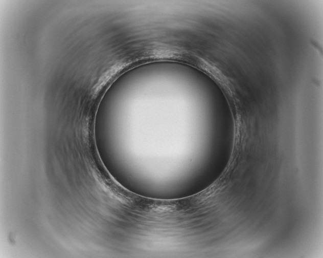 X0000100890155200807011205