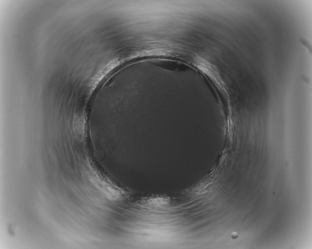 X0000100890156200807011205