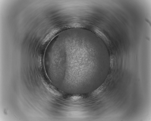 X0000100890158200807011205