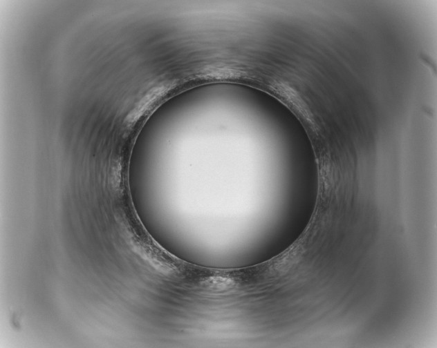 X0000100890159200807011205