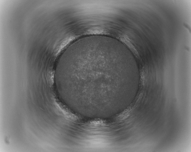X0000100890160200807011205