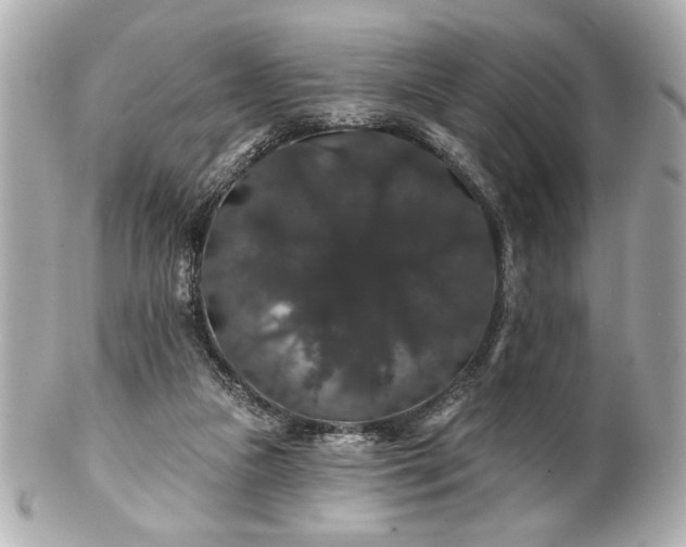 X0000100890161200807011205