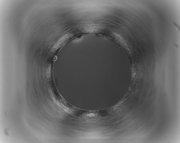 X0000100890163200807011205