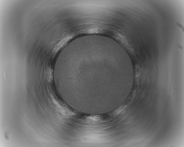 X0000100890164200807011205