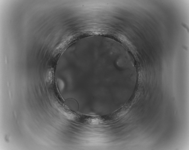 X0000100890165200807011205