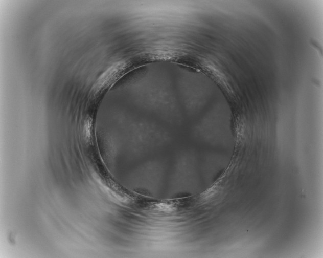 X0000100890166200807011205