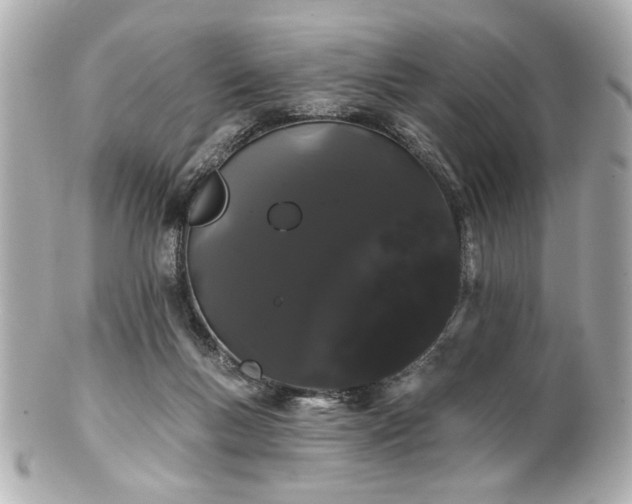 X0000100890167200807011205