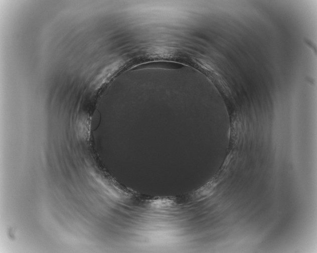 X0000100890168200807011205