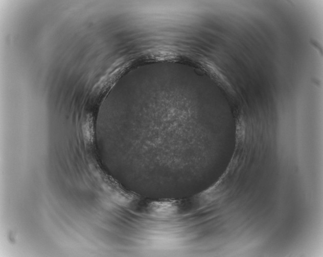 X0000100890170200807011205