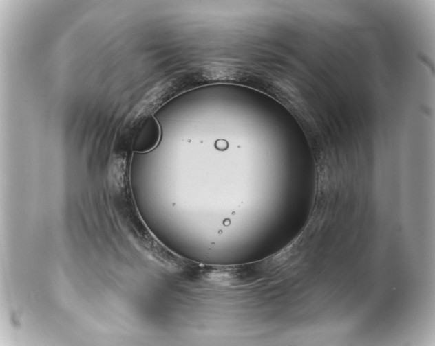 X0000100890171200807011205