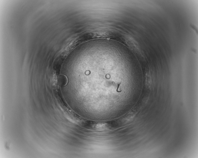 X0000100890173200807011205