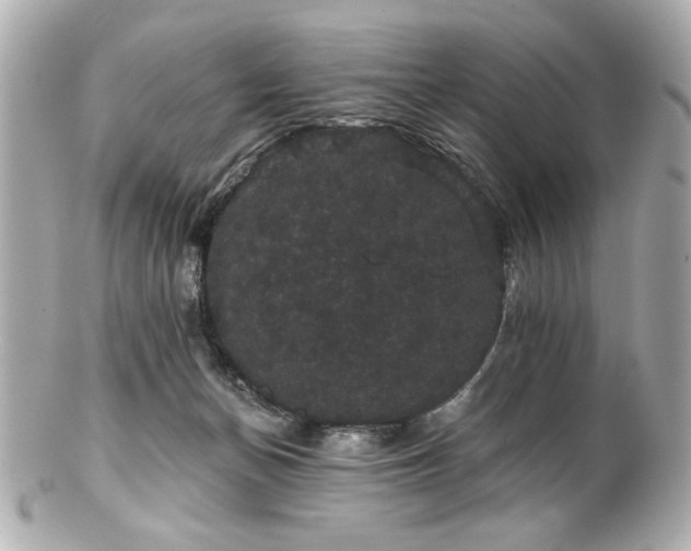 X0000100890174200807011205
