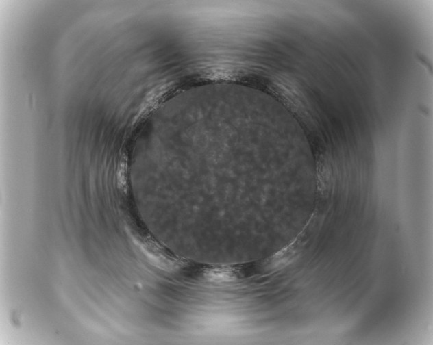 X0000100890175200807011205