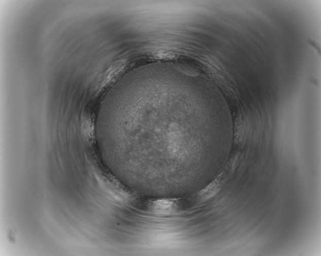 X0000100890176200807011205