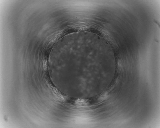 X0000100890177200807011205