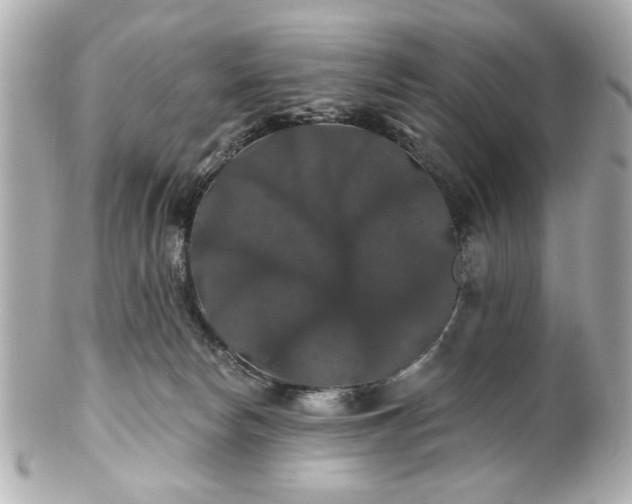 X0000100890178200807011205