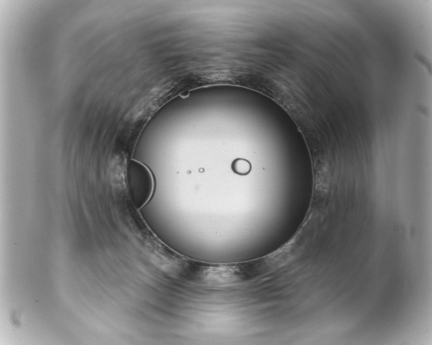 X0000100890179200807011205
