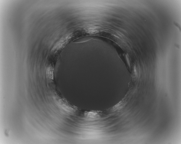 X0000100890180200807011205