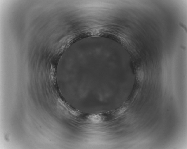 X0000100890181200807011205