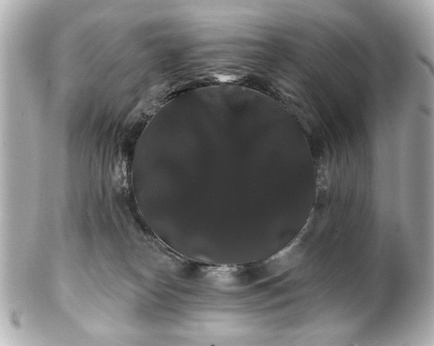 X0000100890182200807011205