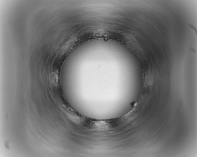 X0000100890183200807011205
