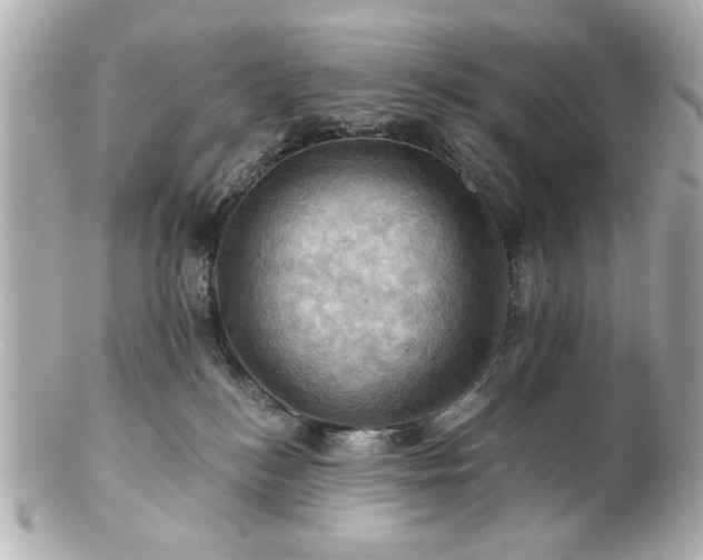 X0000100890184200807011205