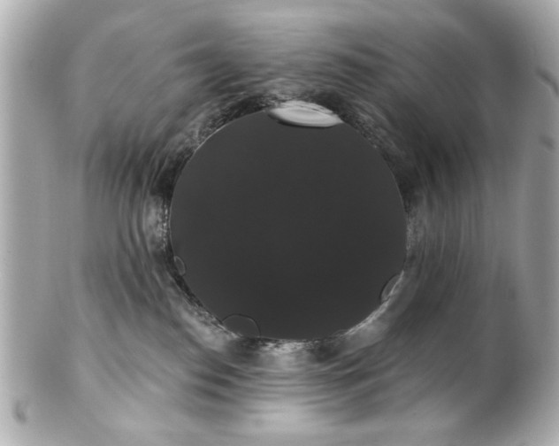 X0000100890186200807011205