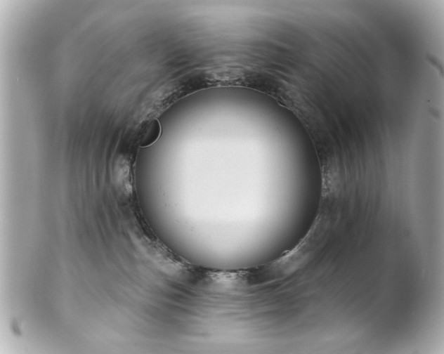 X0000100890187200807011205