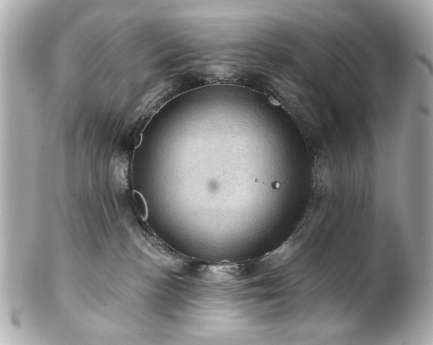 X0000100890188200807011205