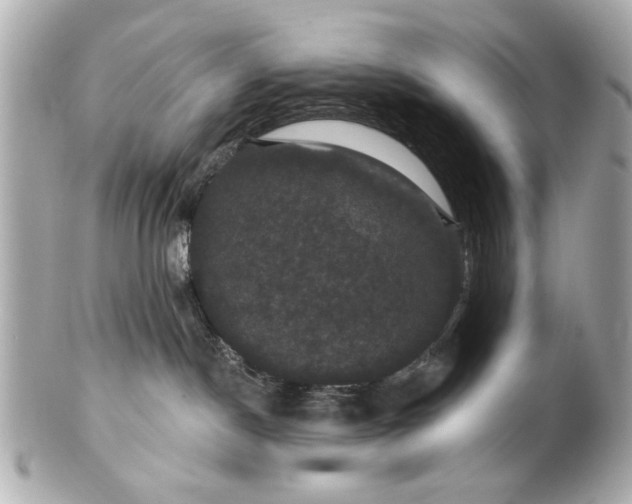X0000100890190200807011205