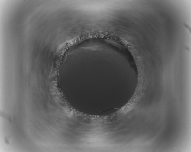 X0000100890192200807011205