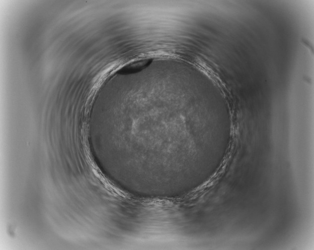 X0000100890193200807011205