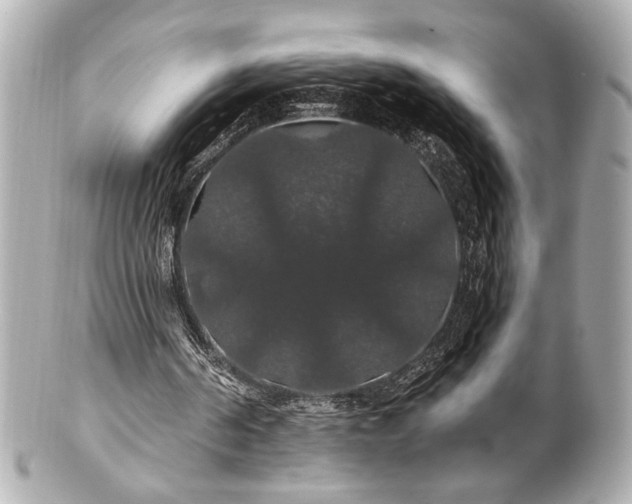 X0000100890194200807011205