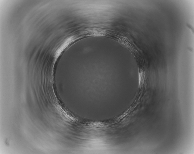 X0000100890195200807011205