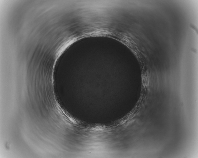 X0000100890196200807011205