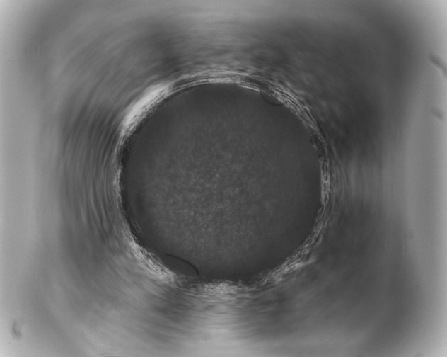 X0000100890197200807011205