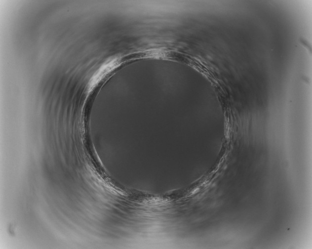 X0000100890198200807011205