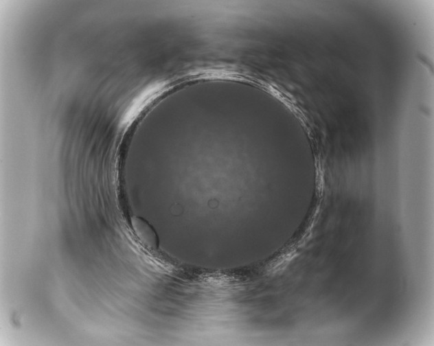 X0000100890199200807011205