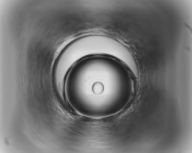 X0000100890200200807011205